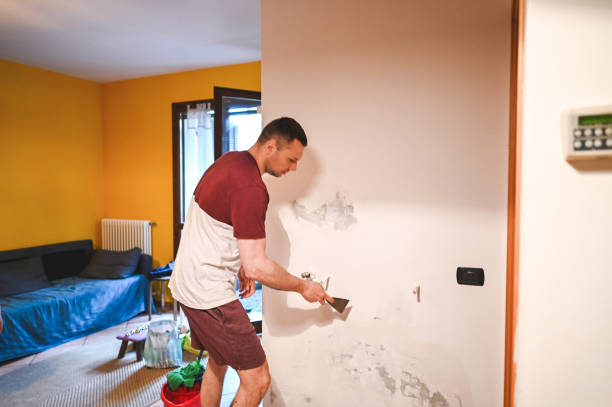 Best Mold Remediation  in Jemez Pueblo, NM